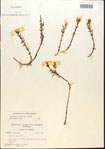 000015164-thumbnail.jpg
