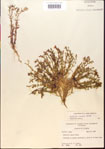 000015165-thumbnail.jpg