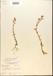 000015166-thumbnail.jpg