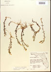 000015167-thumbnail.jpg
