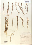 000015168-thumbnail.jpg