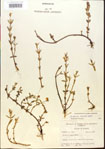 000015169-thumbnail.jpg