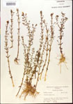 000015170-thumbnail.jpg