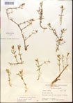 000015171-thumbnail.jpg