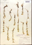 000015172-thumbnail.jpg