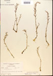 000015173-thumbnail.jpg