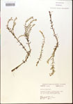 000015174-thumbnail.jpg