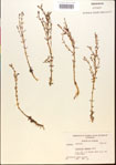 000015175-thumbnail.jpg