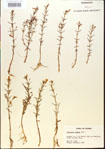 000015176-thumbnail.jpg