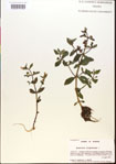 000015178-thumbnail.jpg