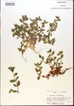 000015179-thumbnail.jpg