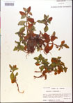 000015180-thumbnail.jpg
