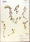 000015181-thumbnail.jpg