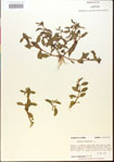 000015182-thumbnail.jpg