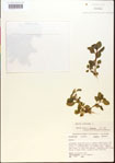 000015187-thumbnail.jpg