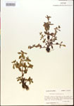 000015188-thumbnail.jpg
