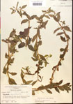 000015190-thumbnail.jpg