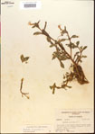 000015192-thumbnail.jpg