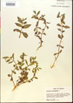 000015193-thumbnail.jpg