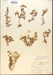 000015194-thumbnail.jpg