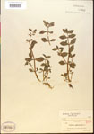 000015197-thumbnail.jpg