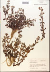 000015198-thumbnail.jpg