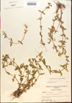 000015199-thumbnail.jpg