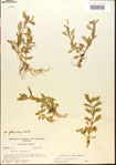000015200-thumbnail.jpg