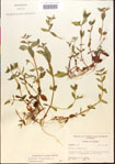 000015201-thumbnail.jpg