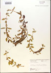 000015202-thumbnail.jpg