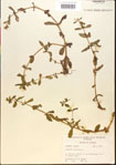 000015203-thumbnail.jpg