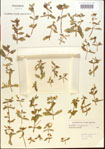000015204-thumbnail.jpg