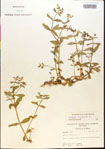 000015205-thumbnail.jpg