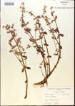 000015206-thumbnail.jpg