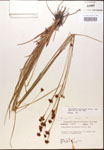 000015272-thumbnail.jpg