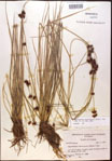 000015274-thumbnail.jpg