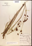 000015275-thumbnail.jpg