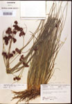 000015276-thumbnail.jpg