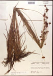 000015278-thumbnail.jpg