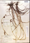 000015279-thumbnail.jpg