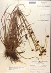 000015280-thumbnail.jpg