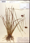000015281-thumbnail.jpg