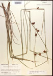 000015282-thumbnail.jpg
