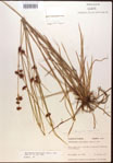 000015283-thumbnail.jpg