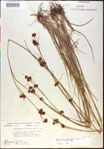 000015284-thumbnail.jpg