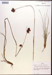 000015286-thumbnail.jpg