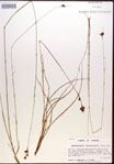 000015287-thumbnail.jpg