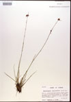 000015288-thumbnail.jpg