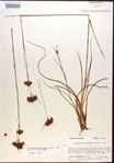 000015289-thumbnail.jpg