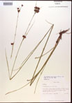 000015292-thumbnail.jpg